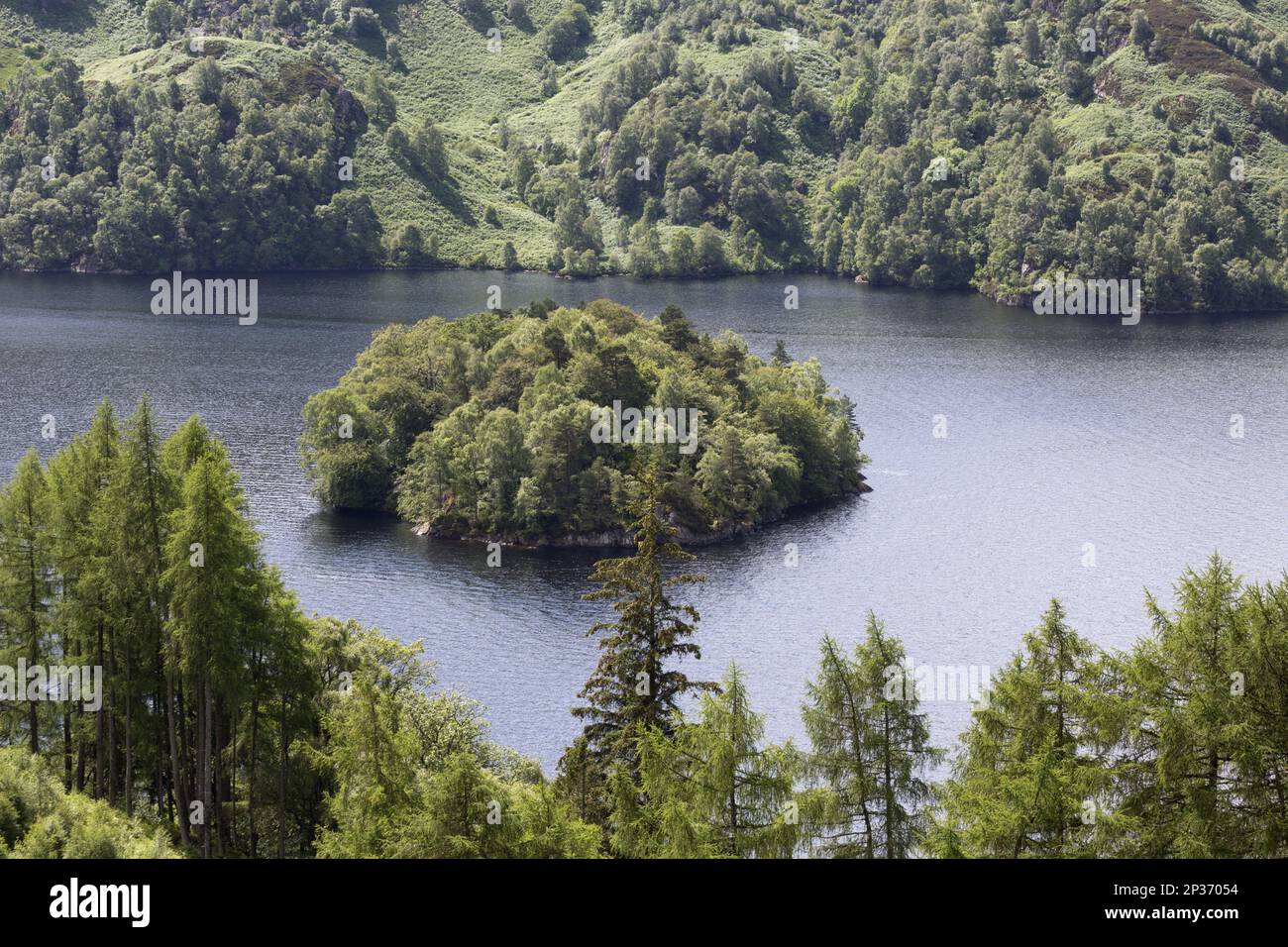 Blick auf das süßwasserloch mit bewaldeter Insel, Loch Katrine, Stirling, Schottland, Großbritannien Stockfoto
