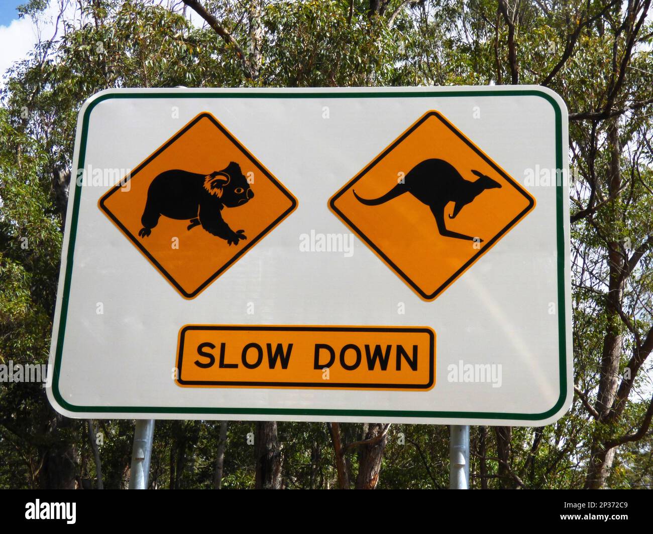 Straßenschild „Koala und Känguru überqueren“, Queensland, Australien Stockfoto