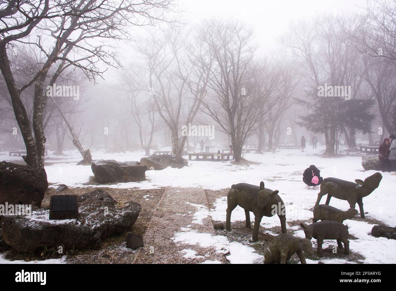 Hirschstatue und Schnee fallen im Wald auf dem Hanla Mountain Vulkan oder Mount Halla im Hallasan Nationalpark für koreanische Reisende besuchen Stockfoto