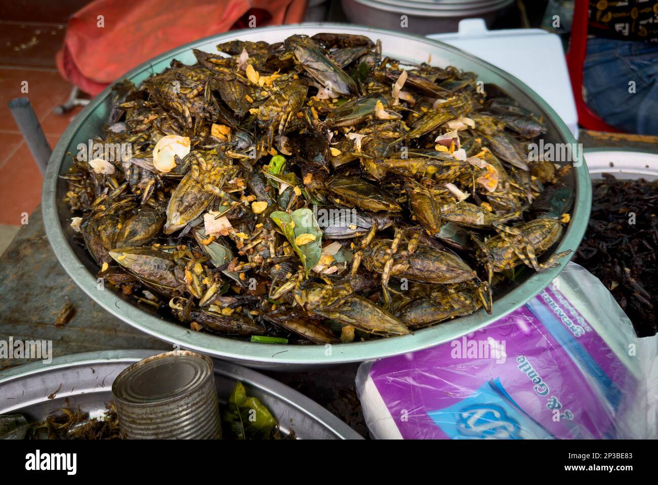 Auf dem Skun Insektenmarkt in Kambodscha sind sautierte riesige Wasserkäfer erhältlich. Stockfoto