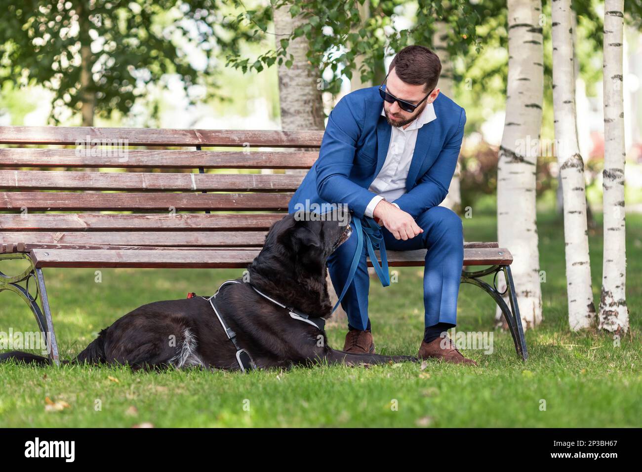 Ein junger Mann im Business-Anzug mit Sonnenbrille, der mit seinem Hund unterwegs spricht Stockfoto