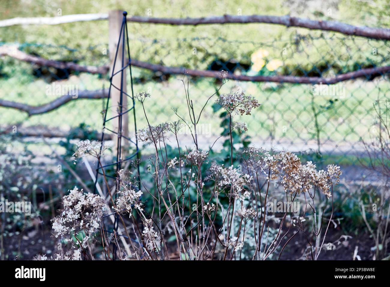 Middlebank Cottage Garden Szenen Stockfoto