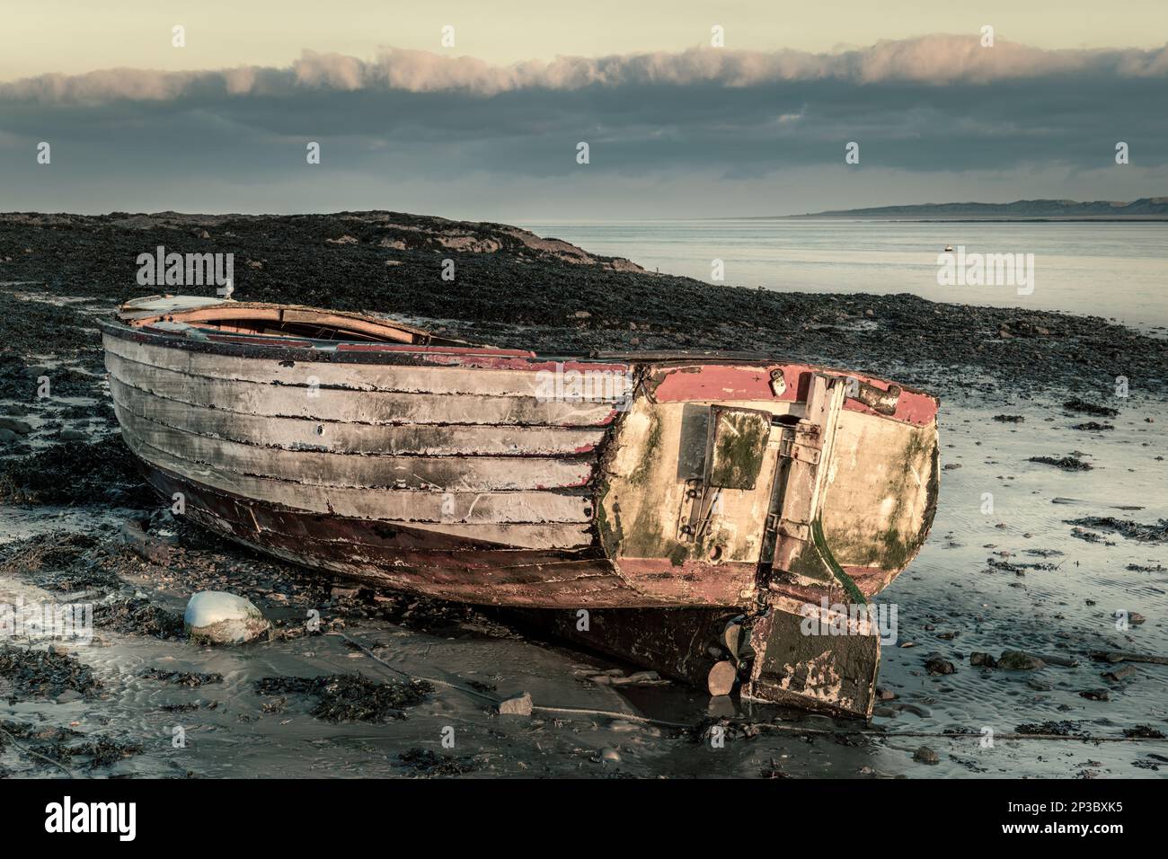 Die Überreste eines verlassenen hölzernen Boots werden am Ufer der Flussmündung des Flusses Torridge in Nord-Devon verfallen gelassen. Stockfoto