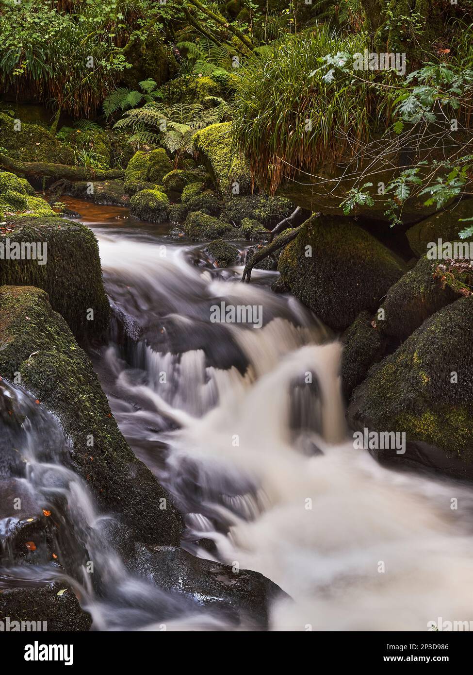 Lange Exposition der Golitha Falls; River Fowey. Stockfoto