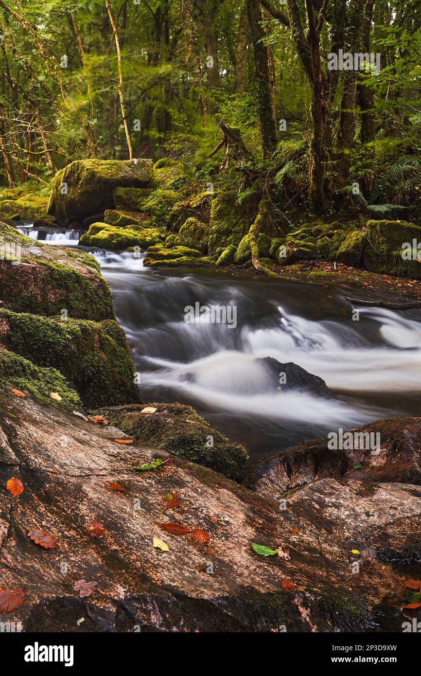 Lange Exposition der Golitha Falls; River Fowey; Cornwall Stockfoto