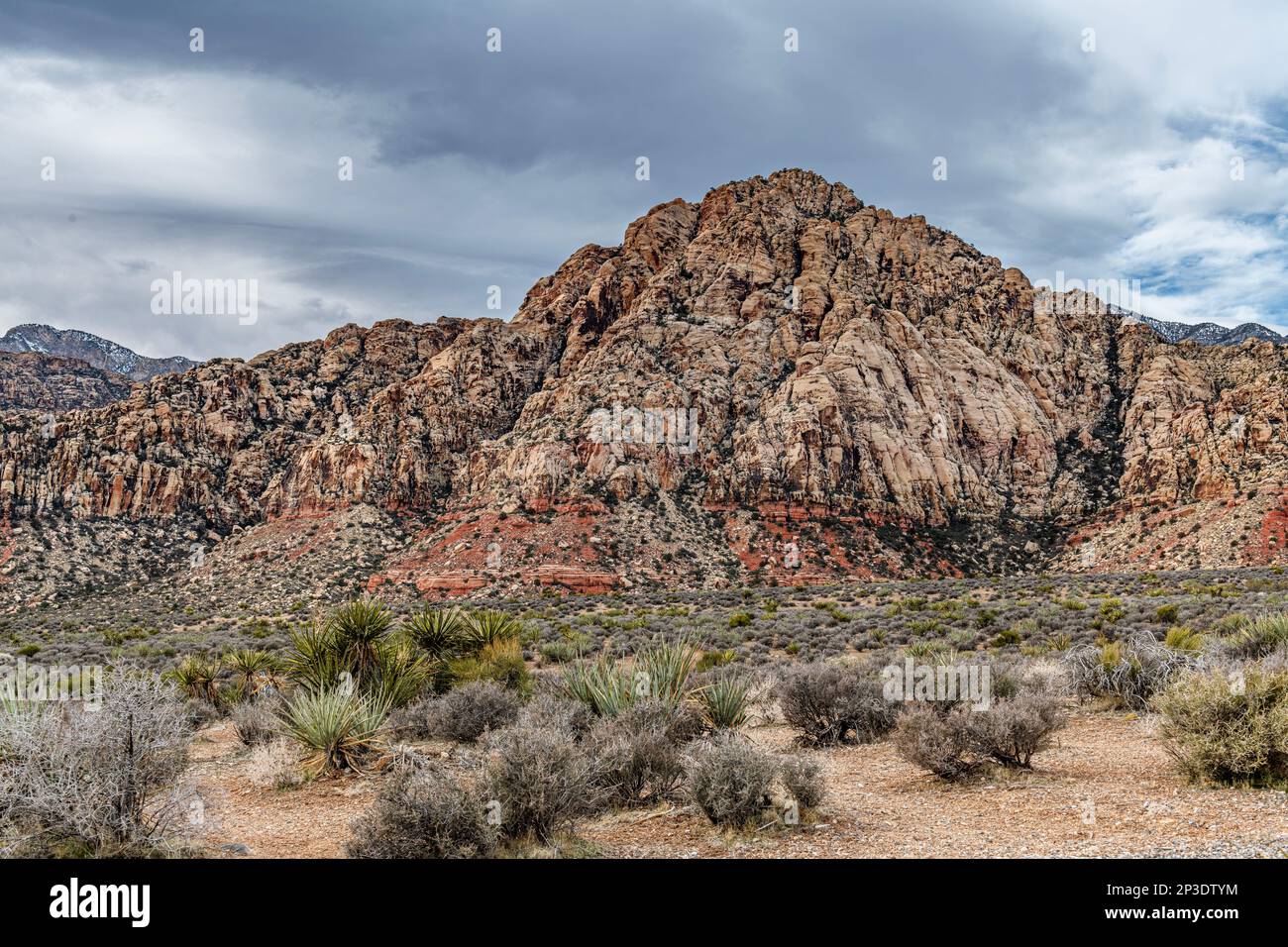 Eine wunderschöne, trockene, zerklüftete und bergige Landschaft in der Wildnis des Red Rock Canyon in Las Vegas, Nevada, wo Familien abenteuerlustig sind. Stockfoto