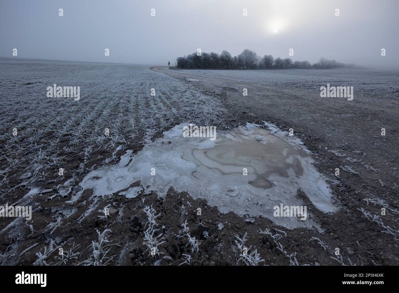 Gefrorene Pfütze und Ackerland an einem nebligen und frostigen Wintermorgen, Old Burghclere, Hampshire, England, Vereinigtes Königreich, Europa Stockfoto