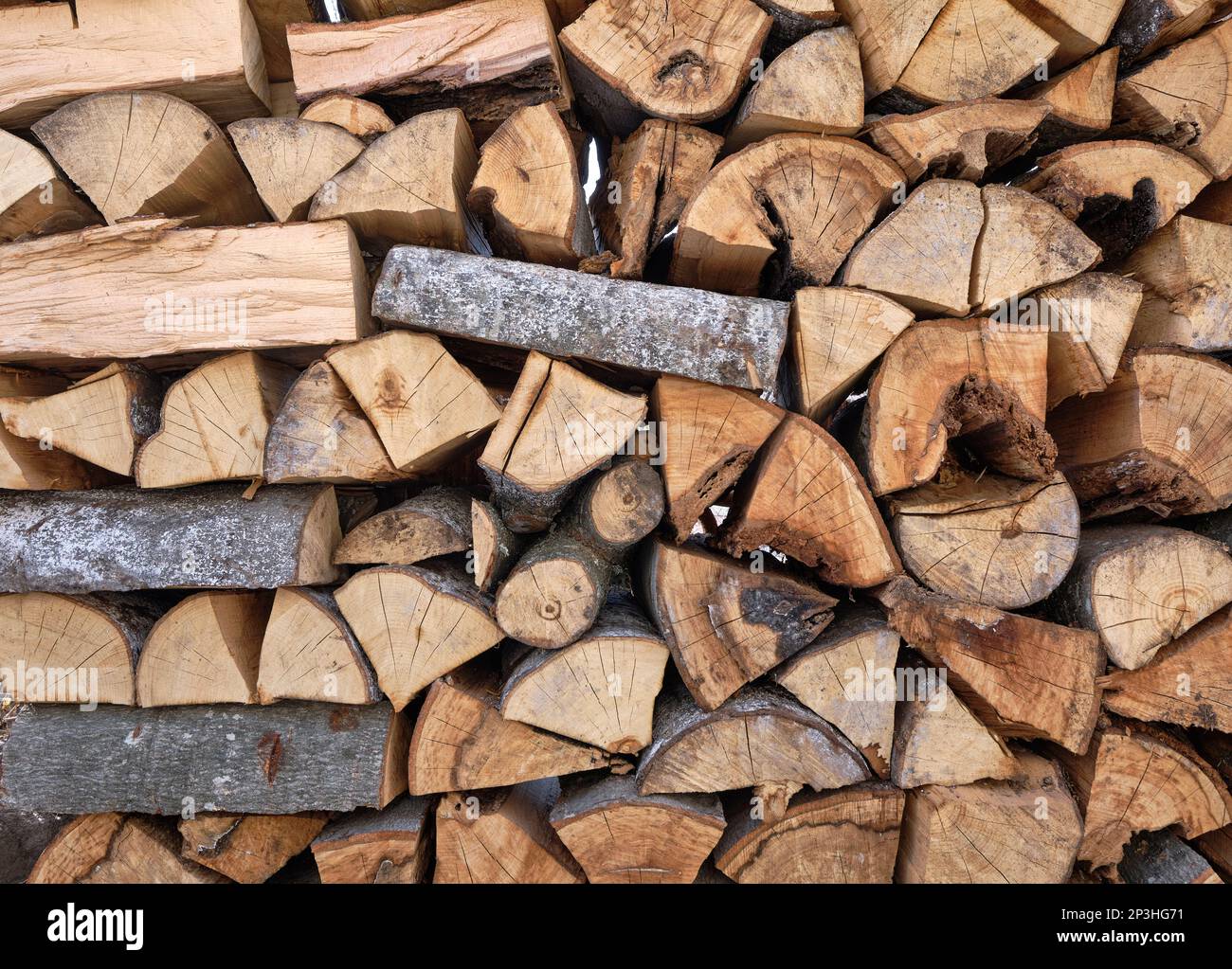 Ein Stapel Buchenholz Stockfoto