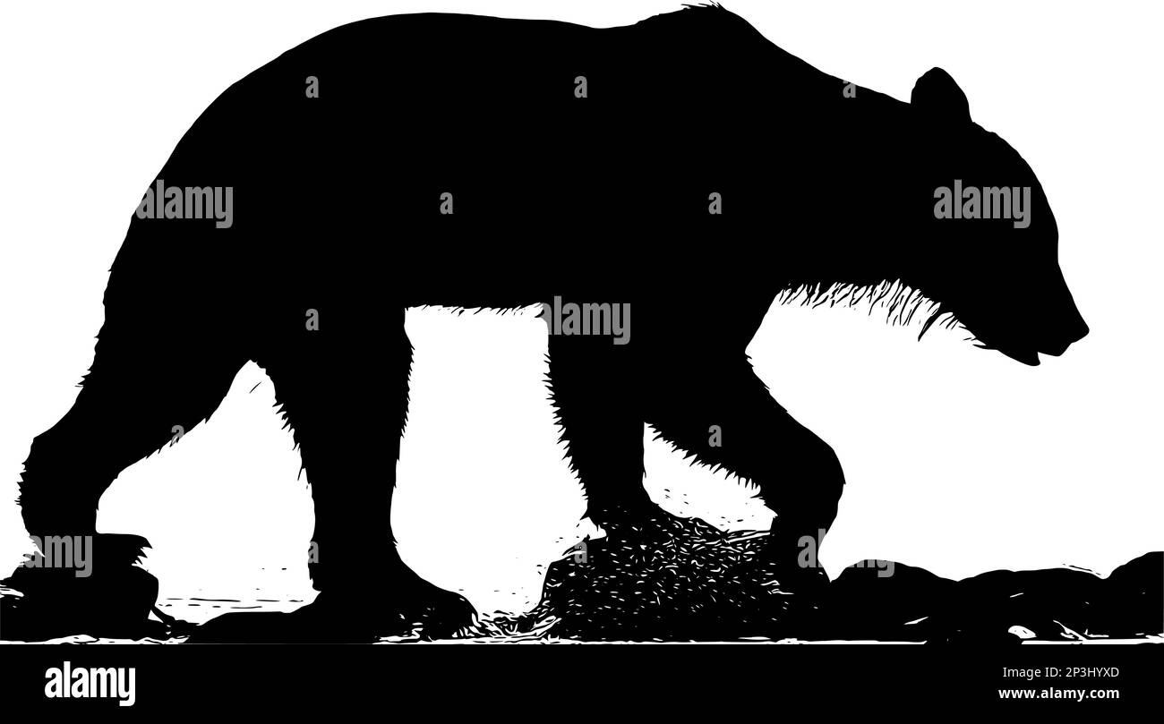 Silhouette eines Braunbären auf weißem Hintergrund Stock Vektor