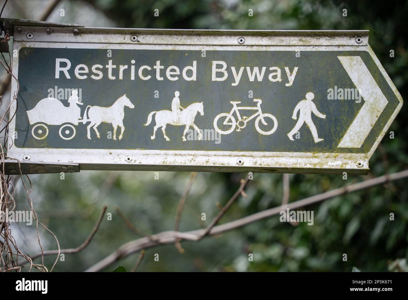 Ein Restricted Byway oder öffentlicher Bridleway, zu Fuß, mit dem Fahrrad und mit dem Pferd erreichbar, auch mit einem Wagen. Stockfoto