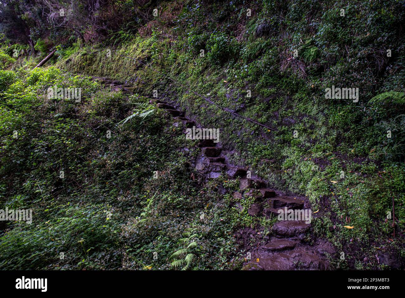Treppen in der Natur, europa Stockfoto