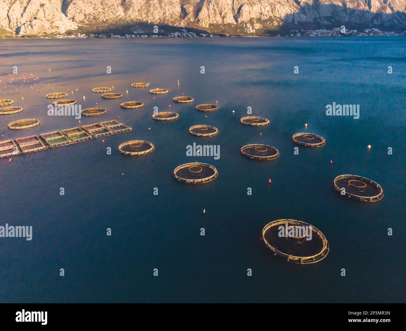 Draufsicht von der Drohne auf die Käfige und von