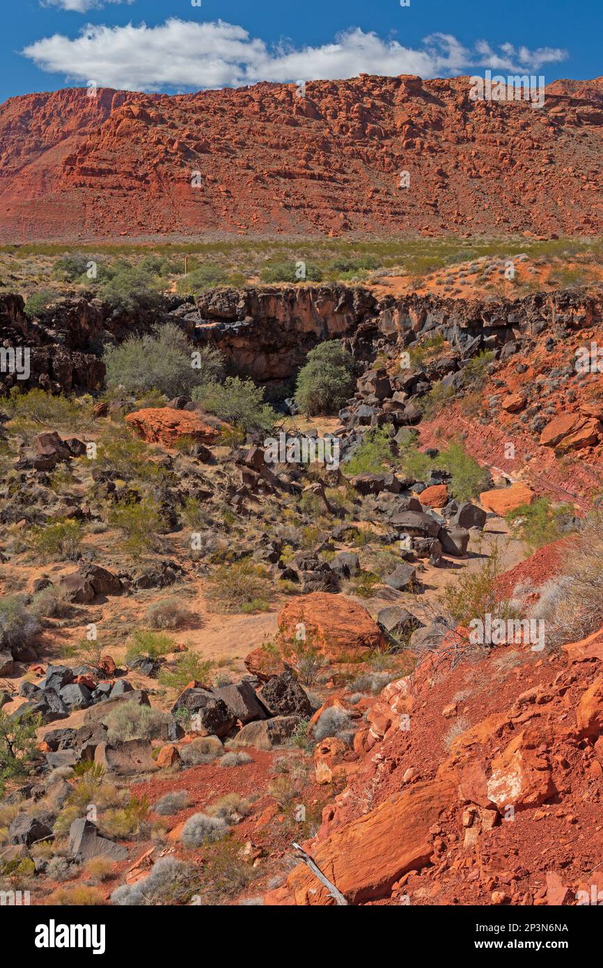 Red Rock Cliffs über Rocky Arroyo im Snow Canyon State Park in Utah Stockfoto