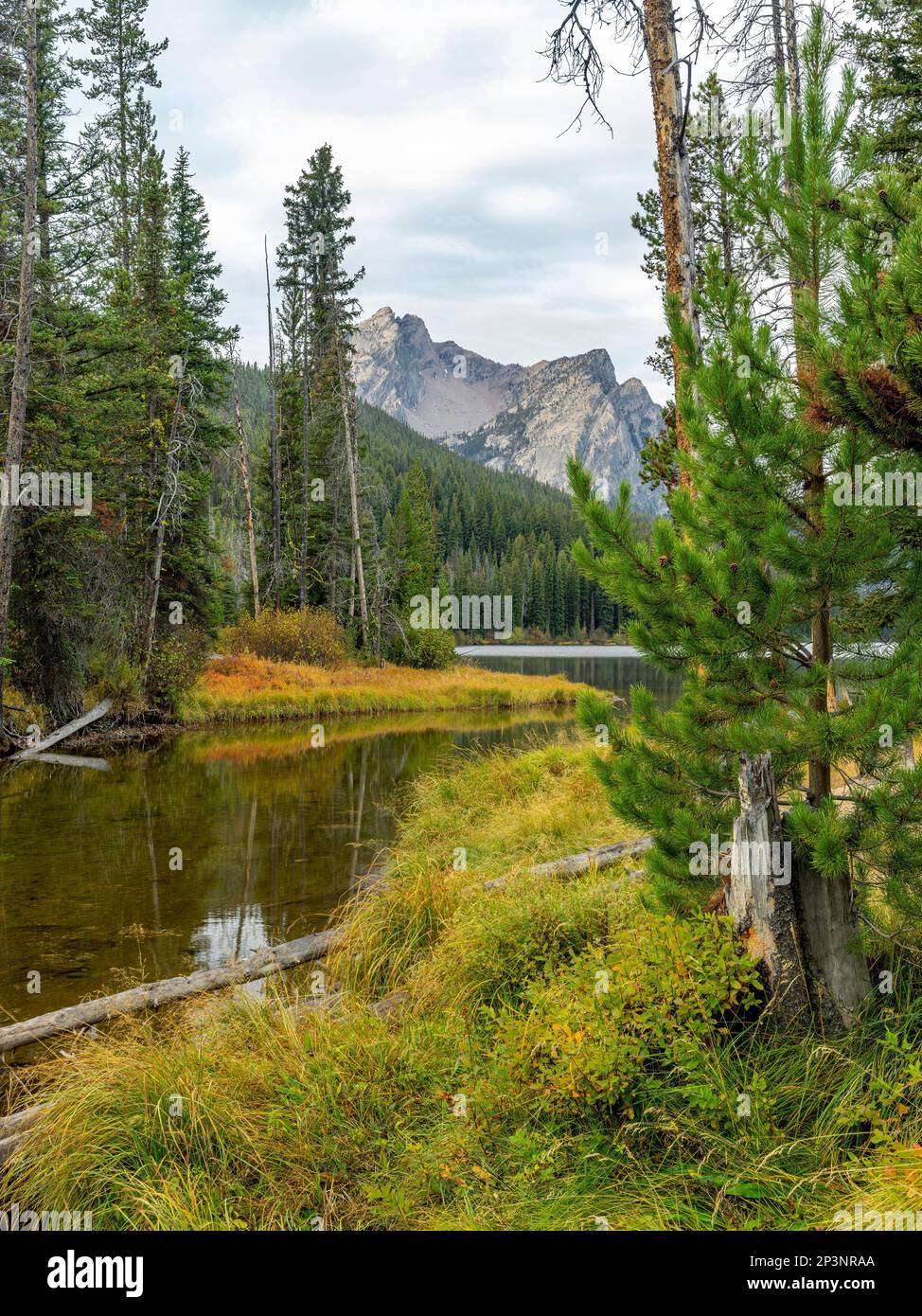 Wunderschöne Wildnis-Berge von Idaho Stockfoto