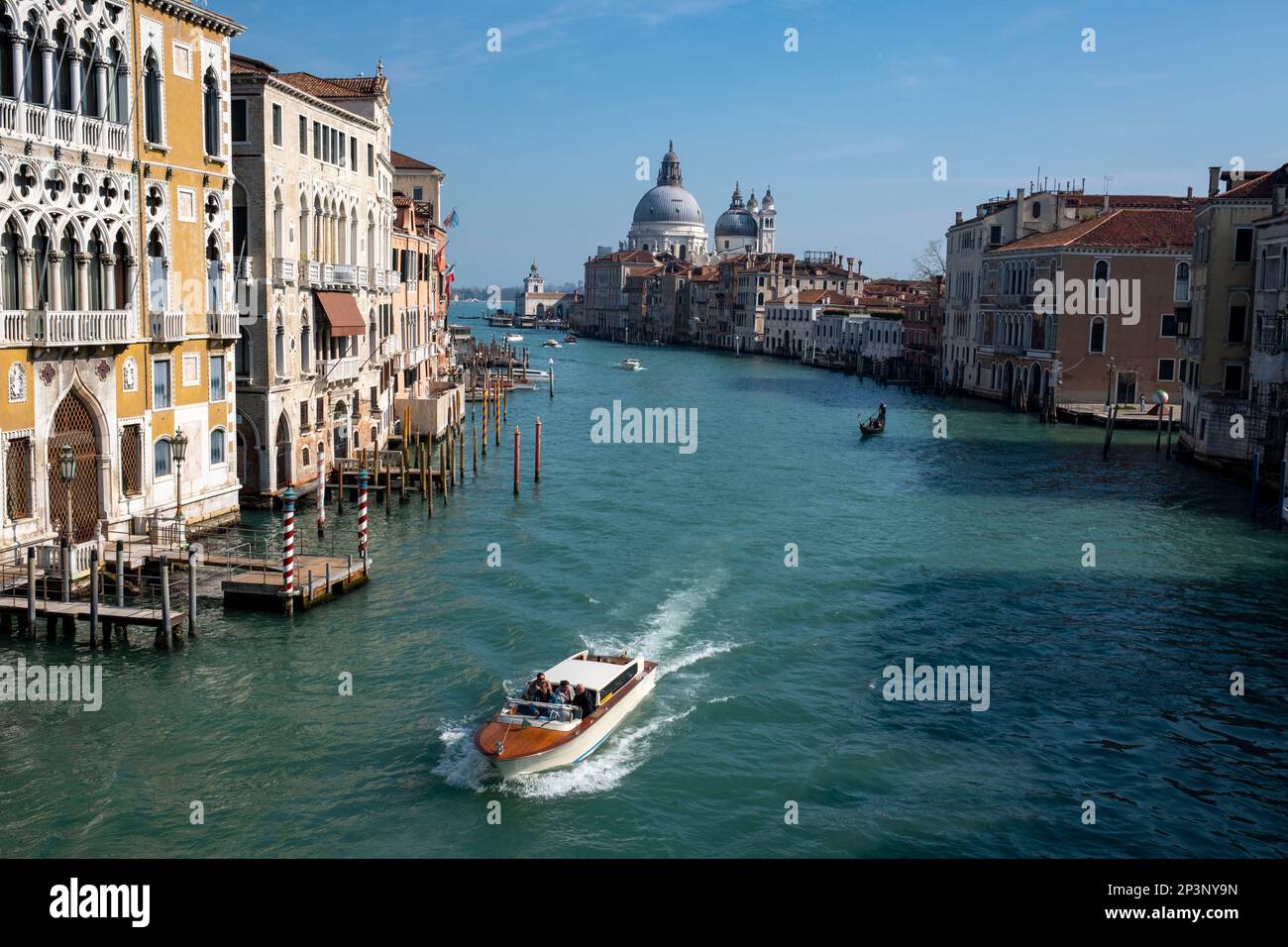 Blick von der Accademia-Brücke auf den Canale Grande und die Basilika Santa Maria della Salute, Venedig, Italien. Stockfoto