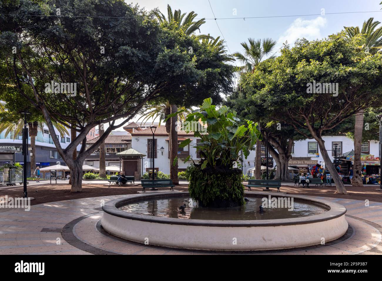 Plaza del Charco, der Hauptplatz der Stadt Puerto de la Cruz, Kanarische Inseln. Stockfoto