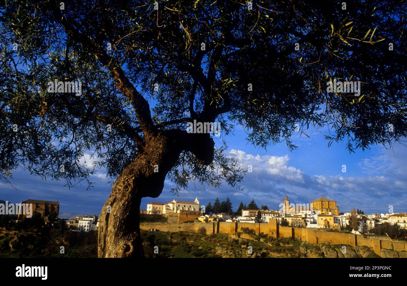 Ansicht von Ronda. Ronda. Provinz Málaga, Spanien Stockfoto