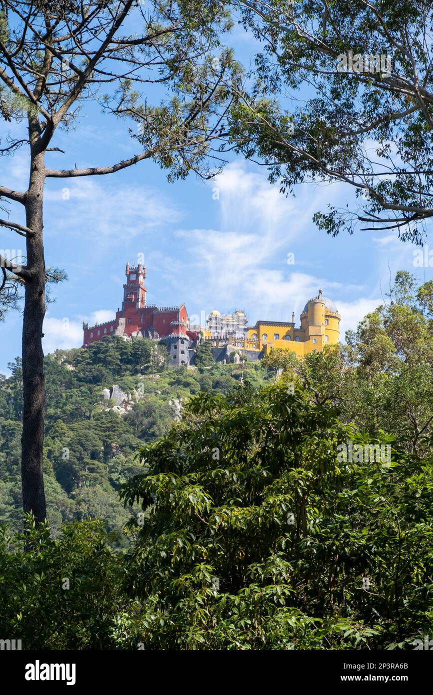 Blick auf den Pena-Palast inmitten einiger Kiefern im umliegenden Wald, Sintra, Lissabon, Portugal, vertikal Stockfoto