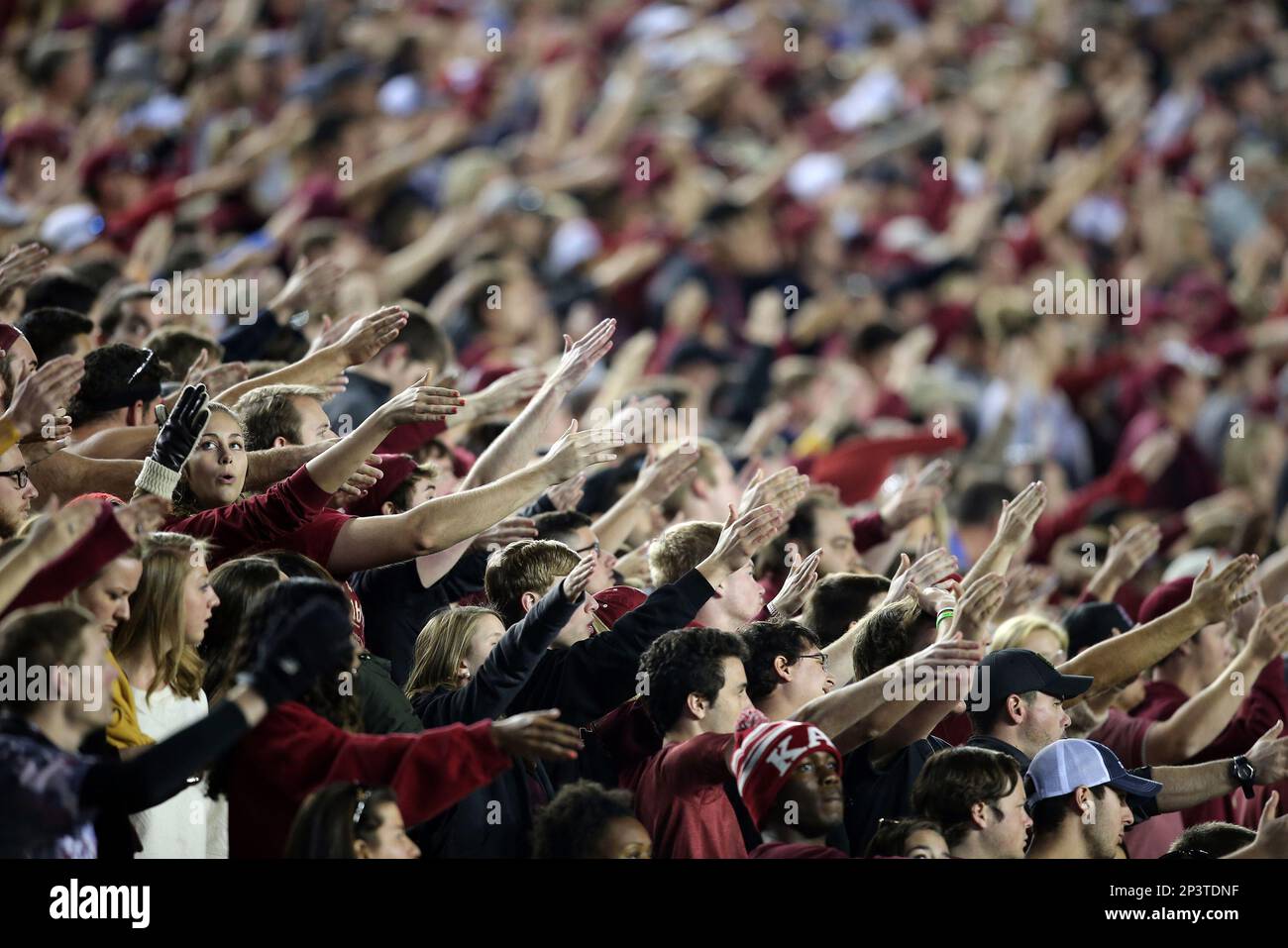 Florida State fans perform the tomahawk chop during an NCAA football game between the Florida Gators and the Florida State Seminoles at Doak Campbell Stadium on Bobby Bowden Field, on November 29, 2014 in Tallahassee, Florida. (AP Photo/Alex Menendez) Stockfoto