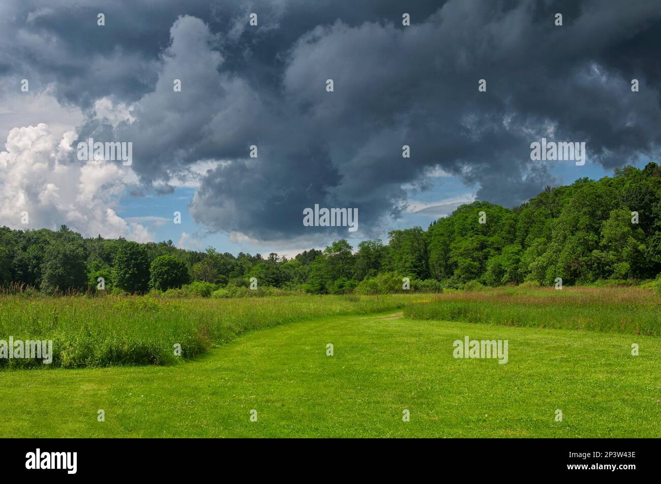 Ein stürmischer Himmel über den Feldern im Sunnybrook State Park in torrington, connecticut. Stockfoto