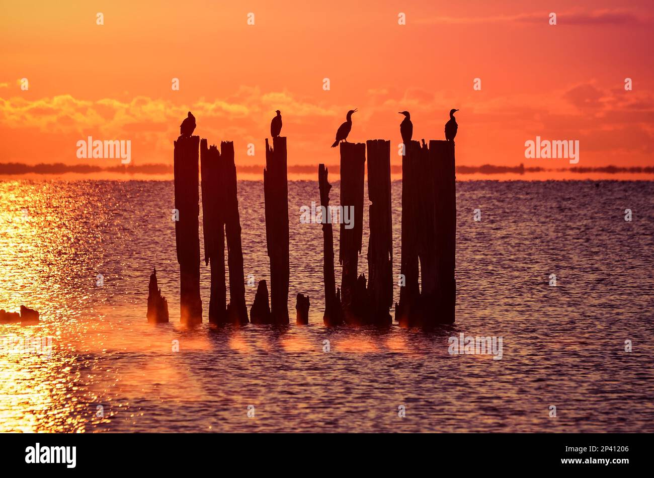 Wunderschöner Blick auf das Meer am Abend. Holzballen an der polnischen Küste mit der Abendsonne im Hintergrund. Stockfoto