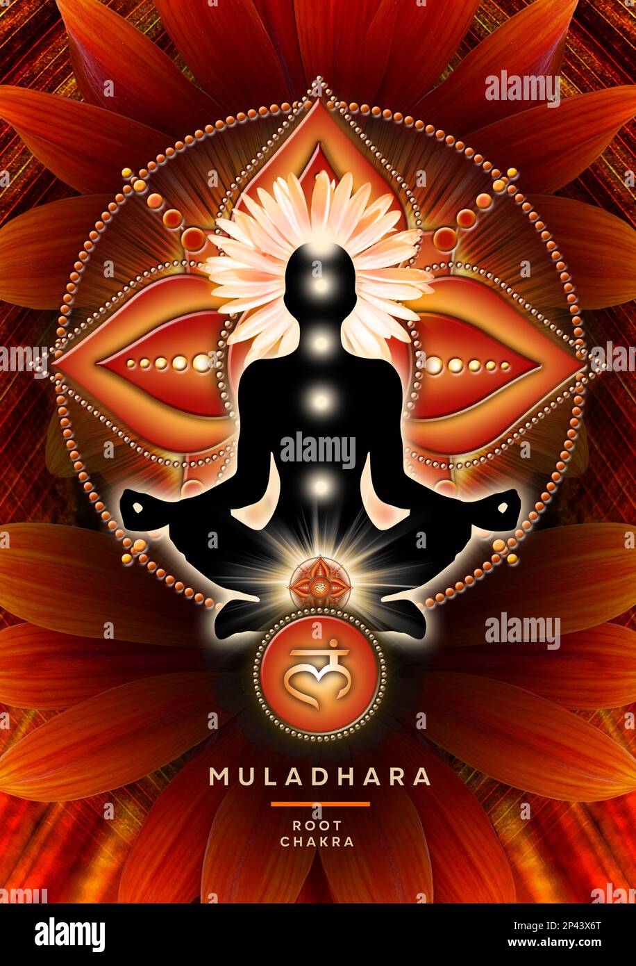 Wurzelchakra-Meditation in Yoga-Lotus-Pose, vor dem Muladhara-Chakra-Symbol und der blühenden Gazanenblume. Stockfoto
