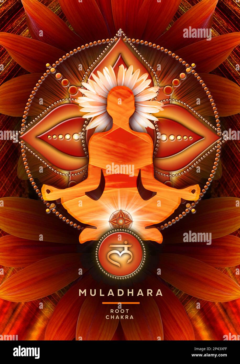 Wurzelchakra-Meditation in Yoga-Lotus-Pose, vor dem Muladhara-Chakra-Symbol und der blühenden Gazanenblume. Stockfoto