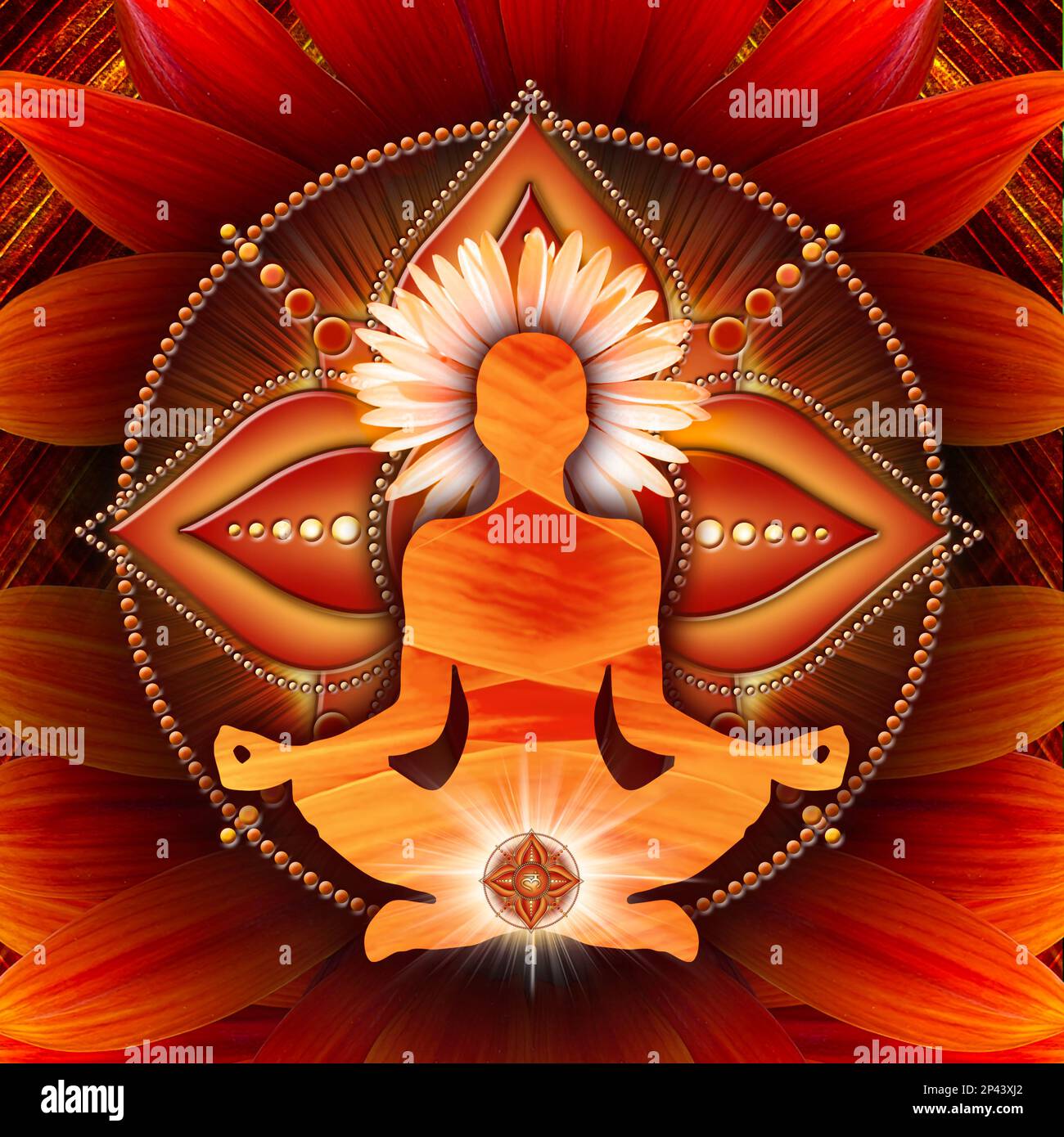 Wurzelchakra-Meditation in Yoga-Lotus-Pose, vor dem Muladhara-Chakra-Symbol und der blühenden Gazanenblume. Stockfoto