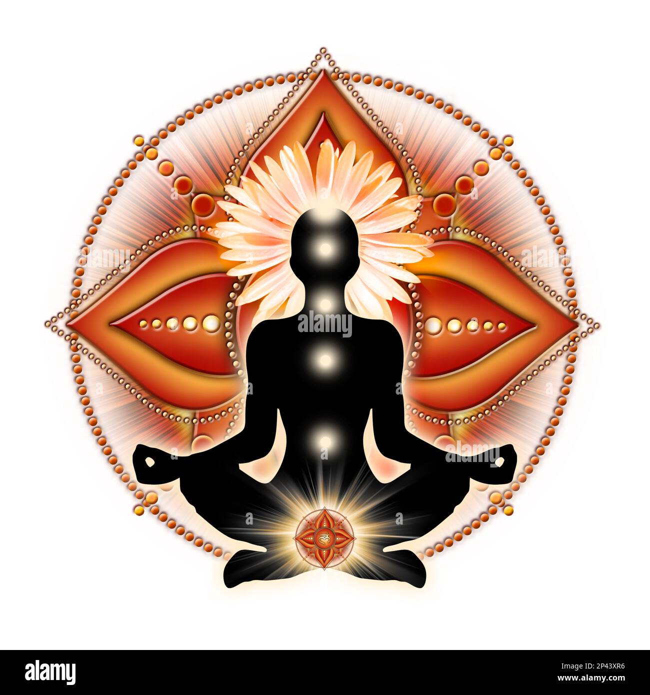 Wurzelchakra-Meditation in Yoga-Lotus-Pose, vor dem Muladhara-Chakra-Symbol und der blühenden Gazanenblume. Stockfoto