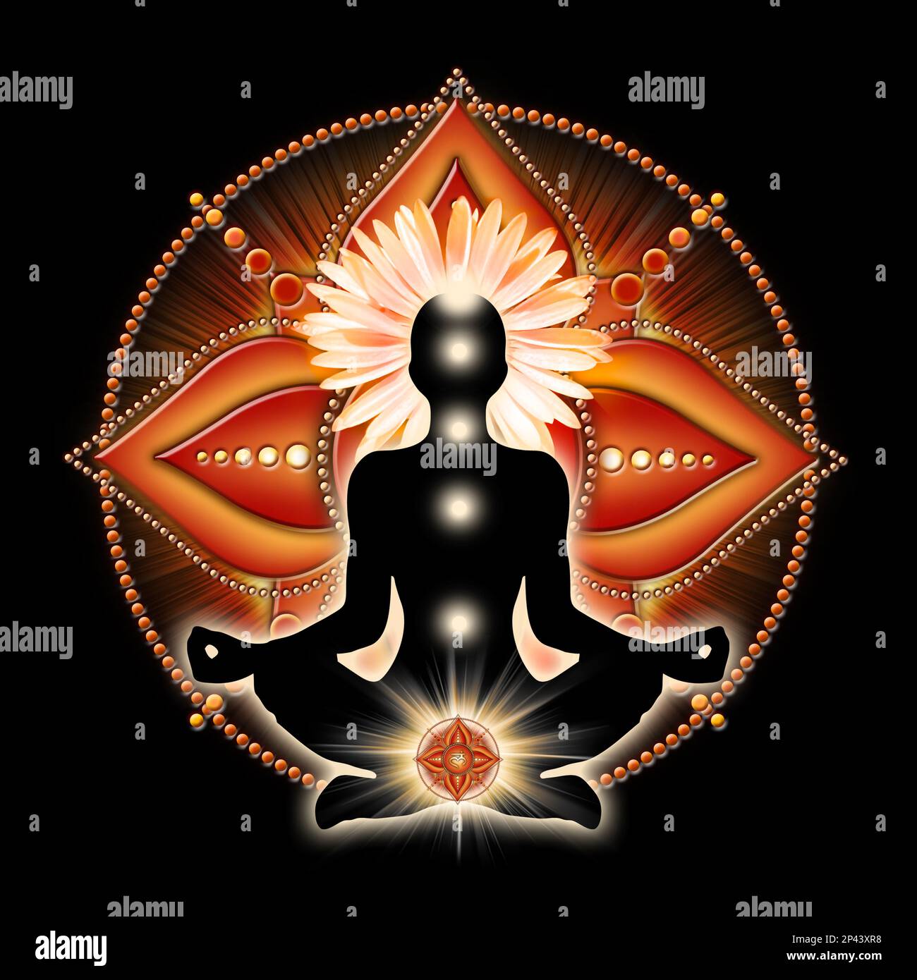 Wurzelchakra-Meditation in Yoga-Lotus-Pose, vor dem Muladhara-Chakra-Symbol und der blühenden Gazanenblume. Stockfoto