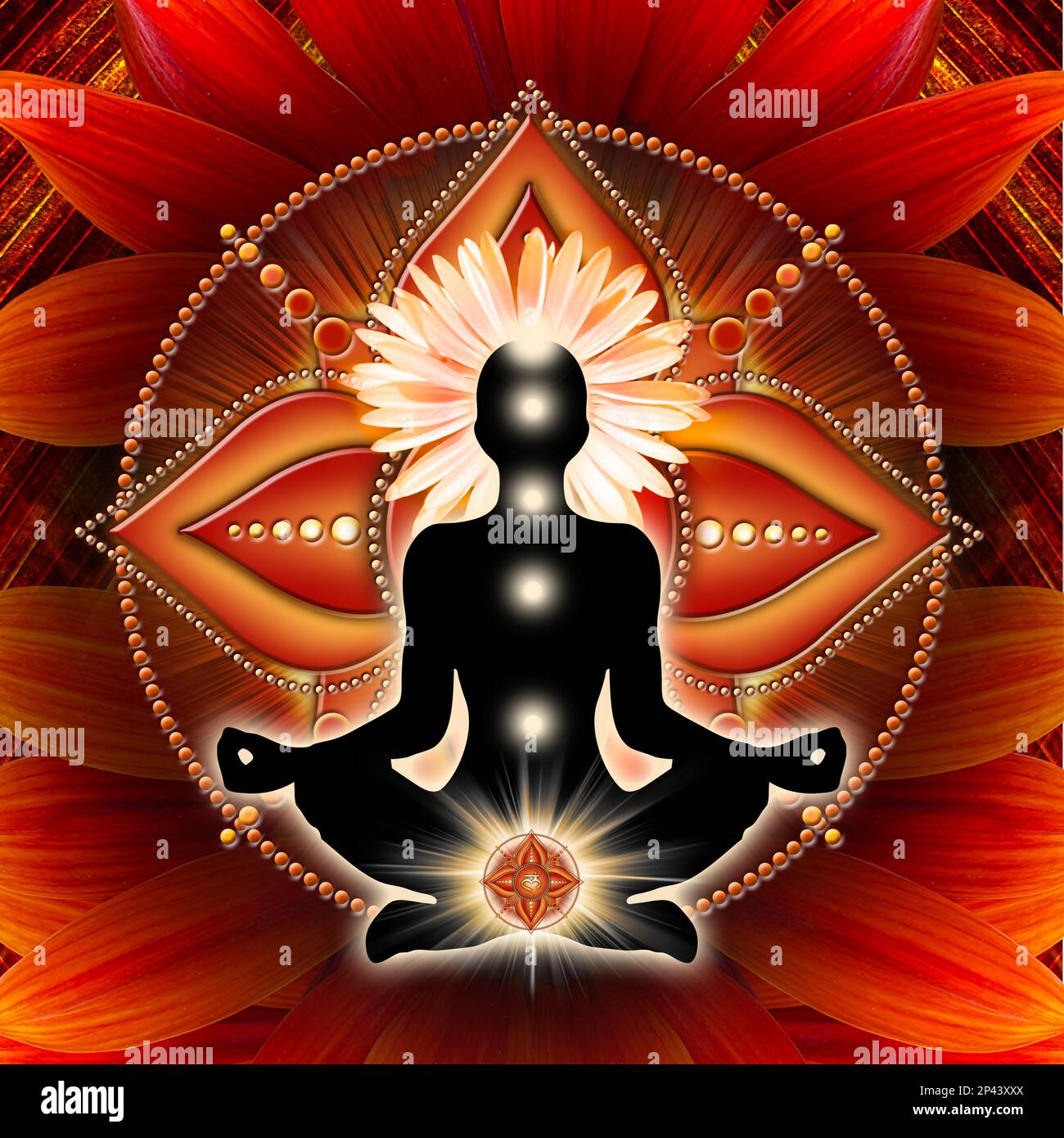 Wurzelchakra-Meditation in Yoga-Lotus-Pose, vor dem Muladhara-Chakra-Symbol und der blühenden Gazanenblume. Stockfoto
