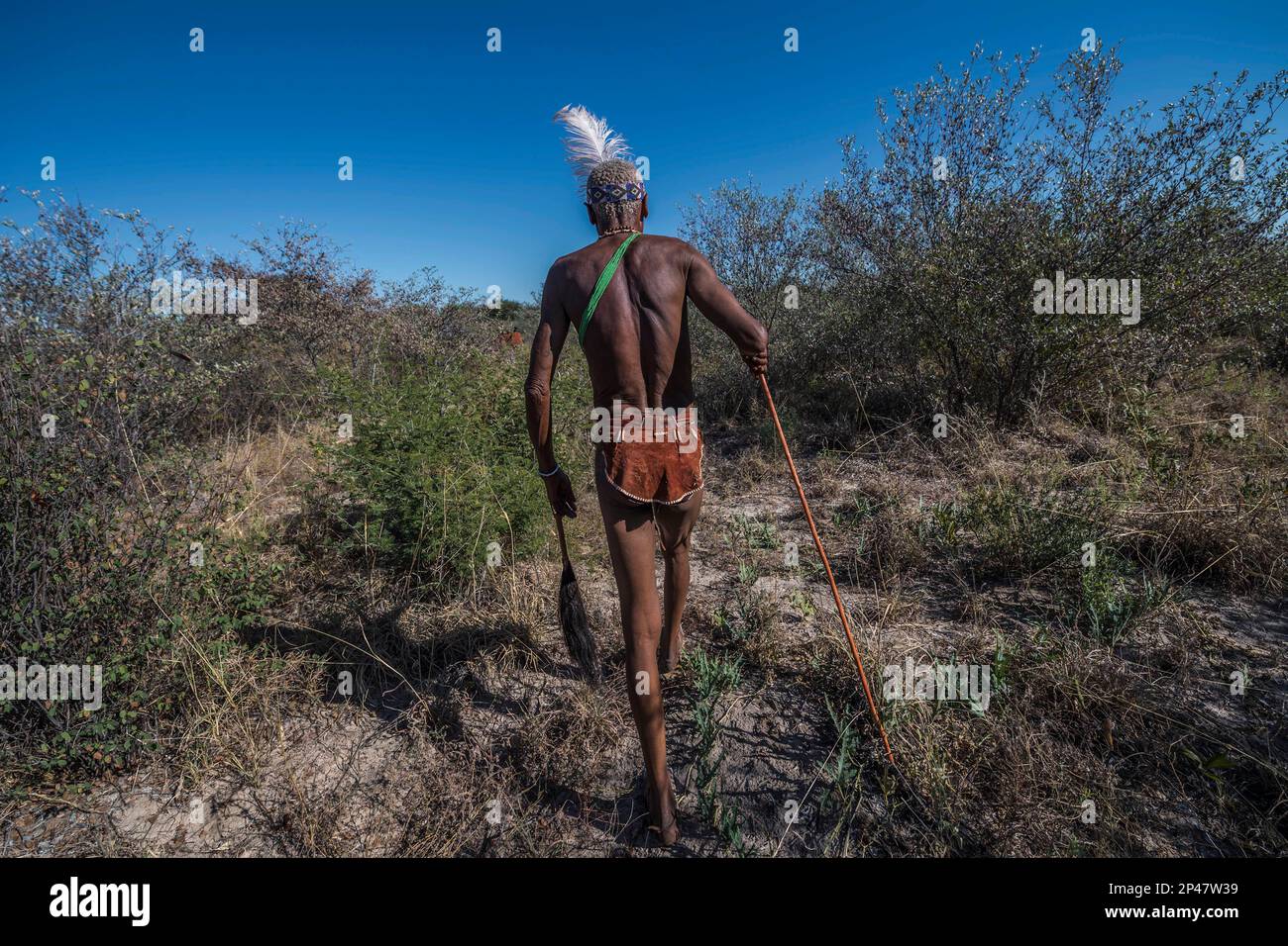 Afrika, Botswana, Kalahari Wüste. Portrait eines Jägers und Sammlers des !Kung Volkes, des San-Stammes. Stockfoto