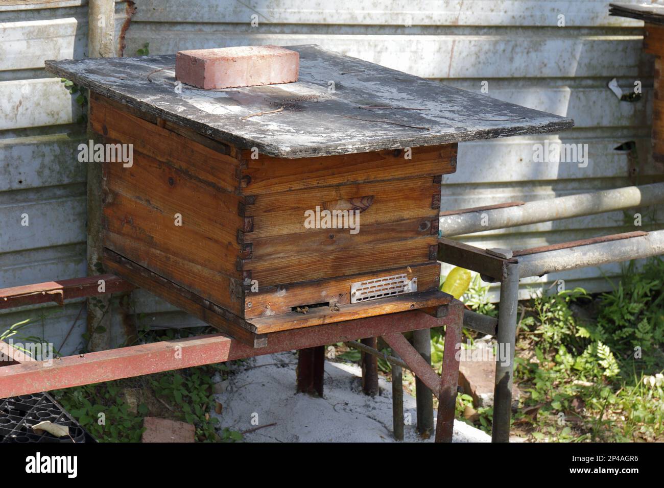 Beehive, Kuk Po, New Territories, Hongkong Stockfoto