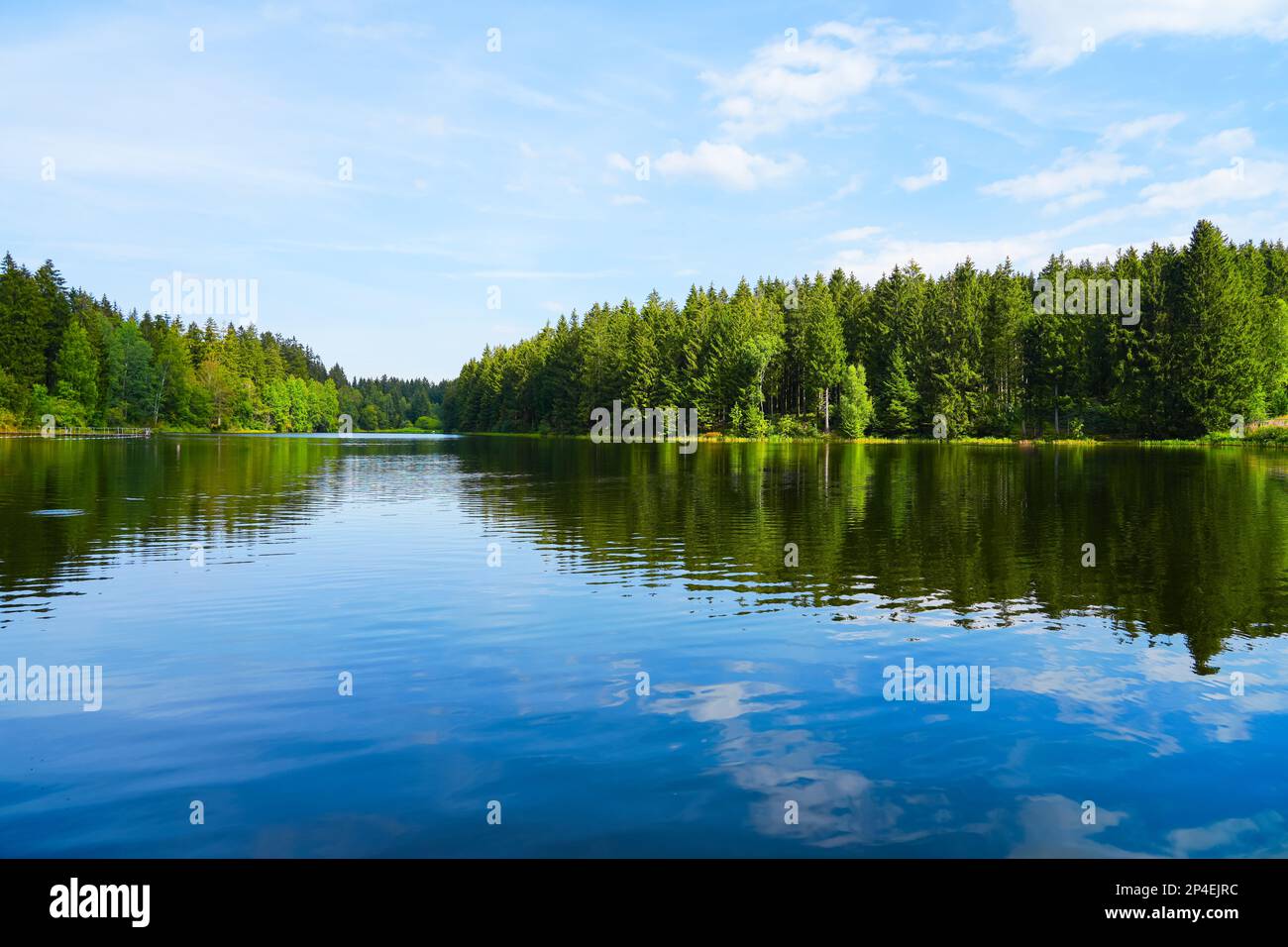 51+ Kuttelbacher Teich Harz, Ein spielplatz für die kleineren