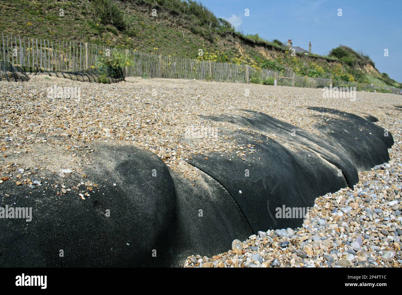 Geotextile Tubes (Geotubes), die als Schutz vor Küstenklippenerosion am Kieselstrand verwendet werden, Dunwich, Suffolk, England, Vereinigtes Königreich Stockfoto