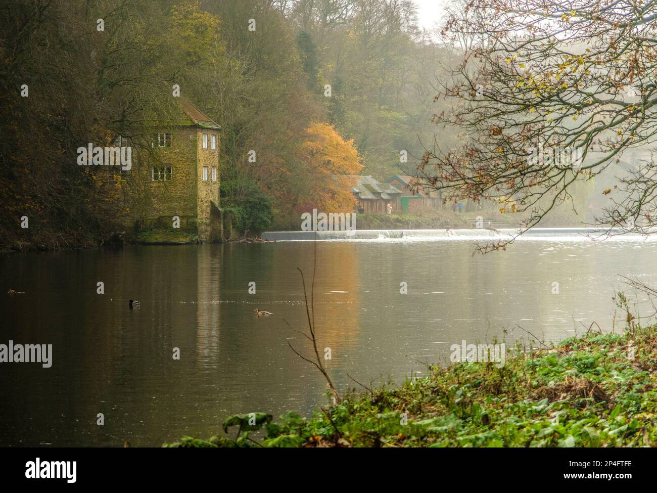 Die River Wear in Durham an einem nebligen Wintertag Stockfoto