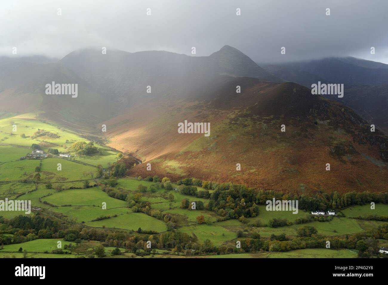 Blick auf das Tal und den Fall mit Regenböen, Blick von Catbells, Causey Pike, Newlands Valley, Lake District N.P., Cumbria, England, Vereint Stockfoto