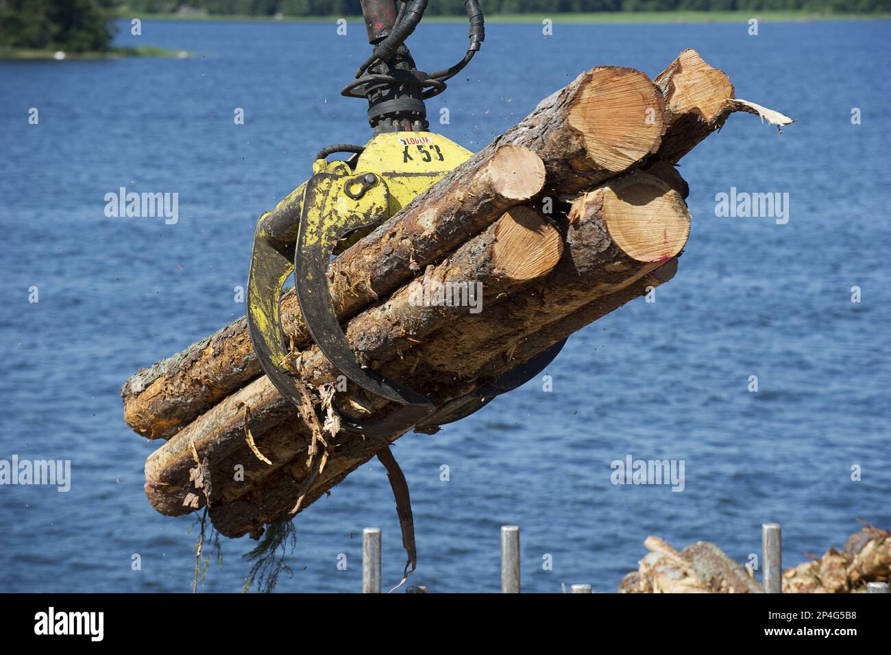 Verladen von Stämmen mit Greifern auf Holzkahn, Archipel, Ostsee, Schweden Stockfoto