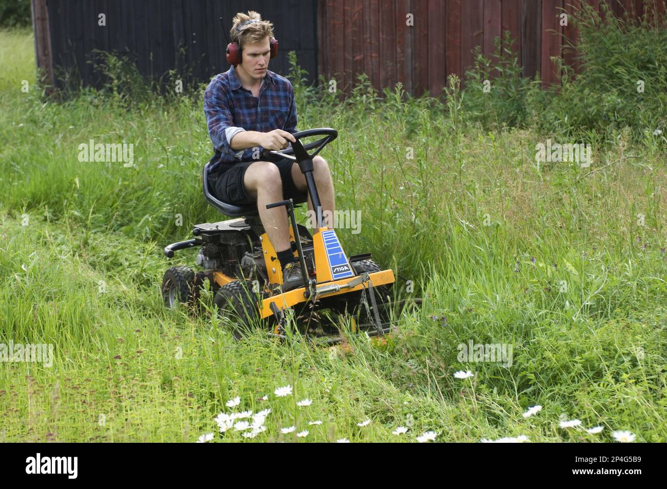 Mann mit Aufsitzmäher auf dem Hof, schneidet langes Gras um den Schuppen in Schweden Stockfoto