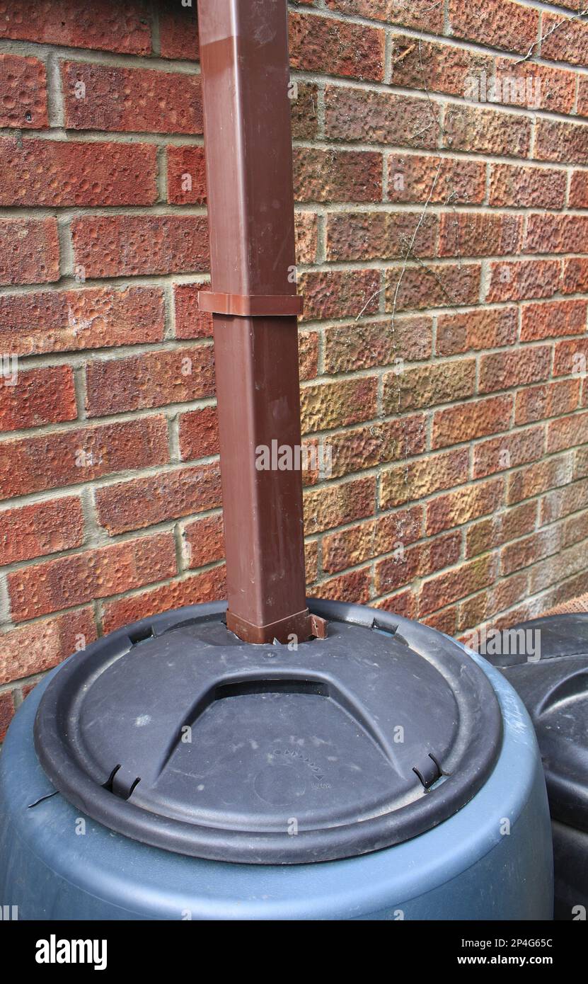 Fallrohre und Wasserstümpfe, um Regenwasser aus der Hausrinne zu sammeln, Mendlesham, Suffolk, England, Vereinigtes Königreich Stockfoto