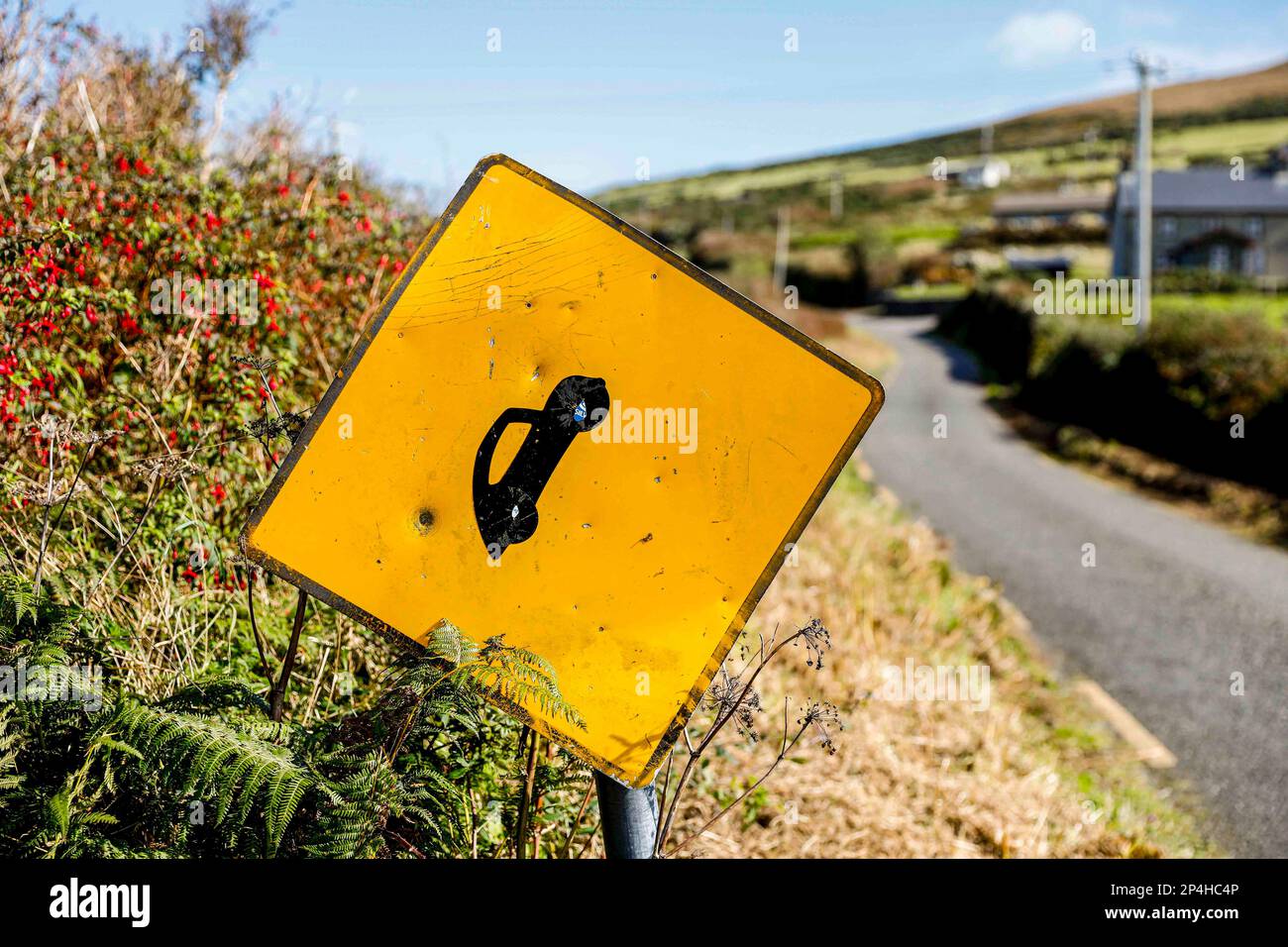 Schild auf schmaler Straße in Irland Stockfoto