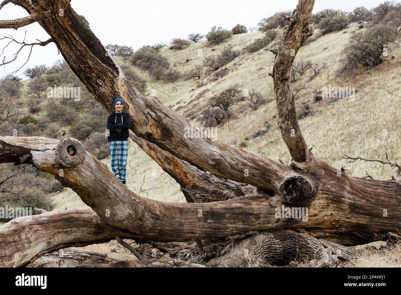 Ein glücklicher Teenager mit gekreuzten Armen, der auf einem Baum stand Stockfoto