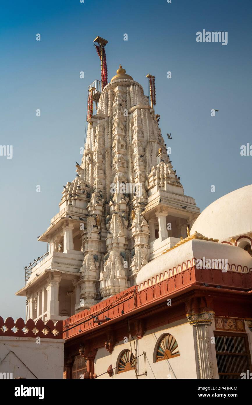 Indien, Rajasthan, Bikaner, Seth Bhandasar, (Bhanda Shah Mandir) Jain-Tempel außen Stockfoto