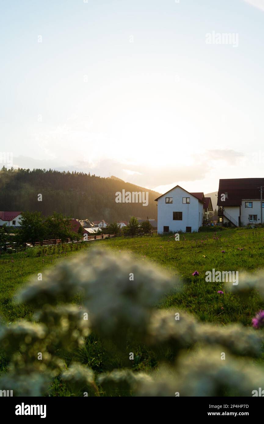 Das Haus auf einem Hügel, umgeben von Natur und Blumen Stockfoto