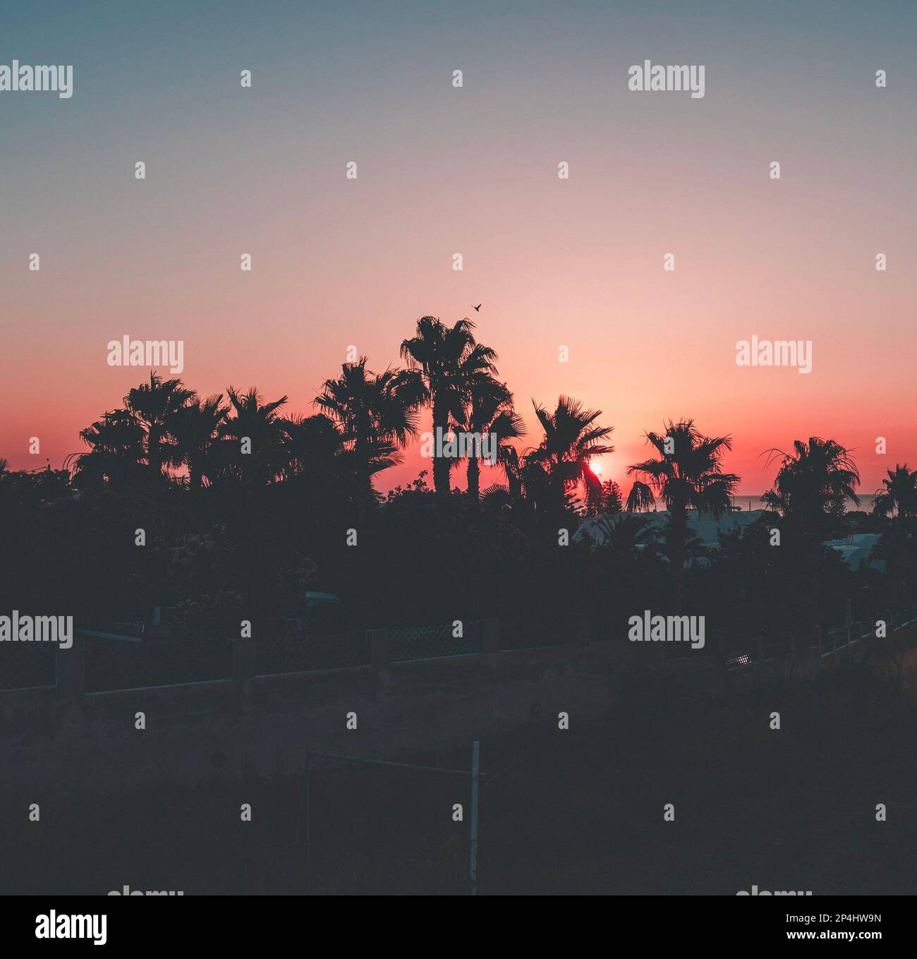 Sonnenuntergang über Santorini Stockfoto