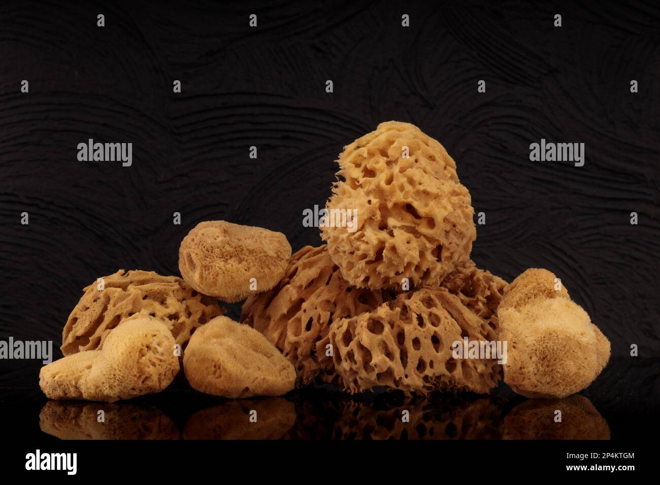 Umweltfreundlicher Körperschwamm auf schwarzem Hintergrund, Platz für Text. Stockfoto