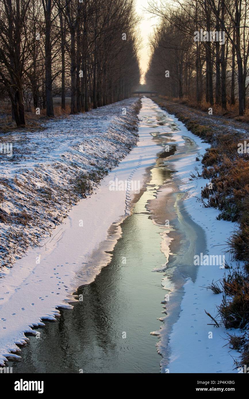 Winter Wonderland: Gefrorener Fluss umgeben von majestätischen Bäumen Stockfoto