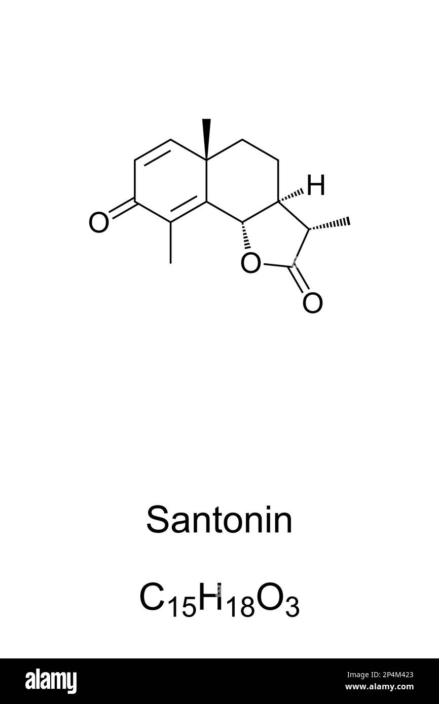 Santonin, chemische Formel. Aus Meerwurmholz, Artemisia maritima, extrahiert, war es eine Droge, die häufig als Anthelminthikum verwendet wurde, um parasitäre Würmer zu vertreiben. Stockfoto