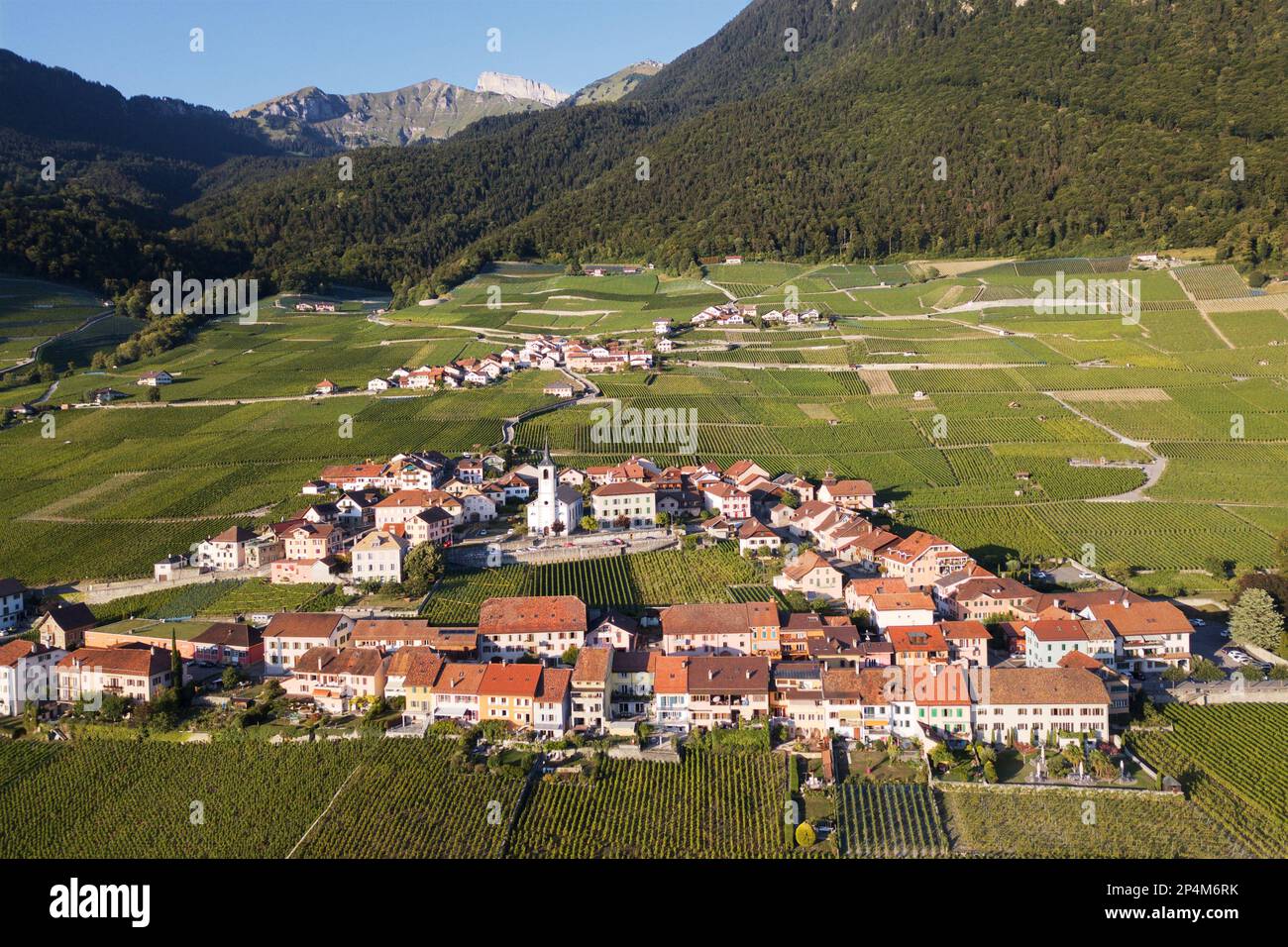 Yvorne aus der Vogelperspektive. Stockfoto
