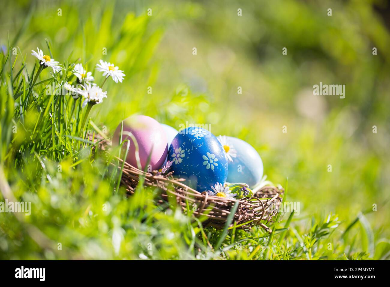 Frohe Ostern - Nest mit Ostereiern im Gras an einem sonnigen Frühlingstag im Garten - Osterdekoration Hintergrund Stockfoto